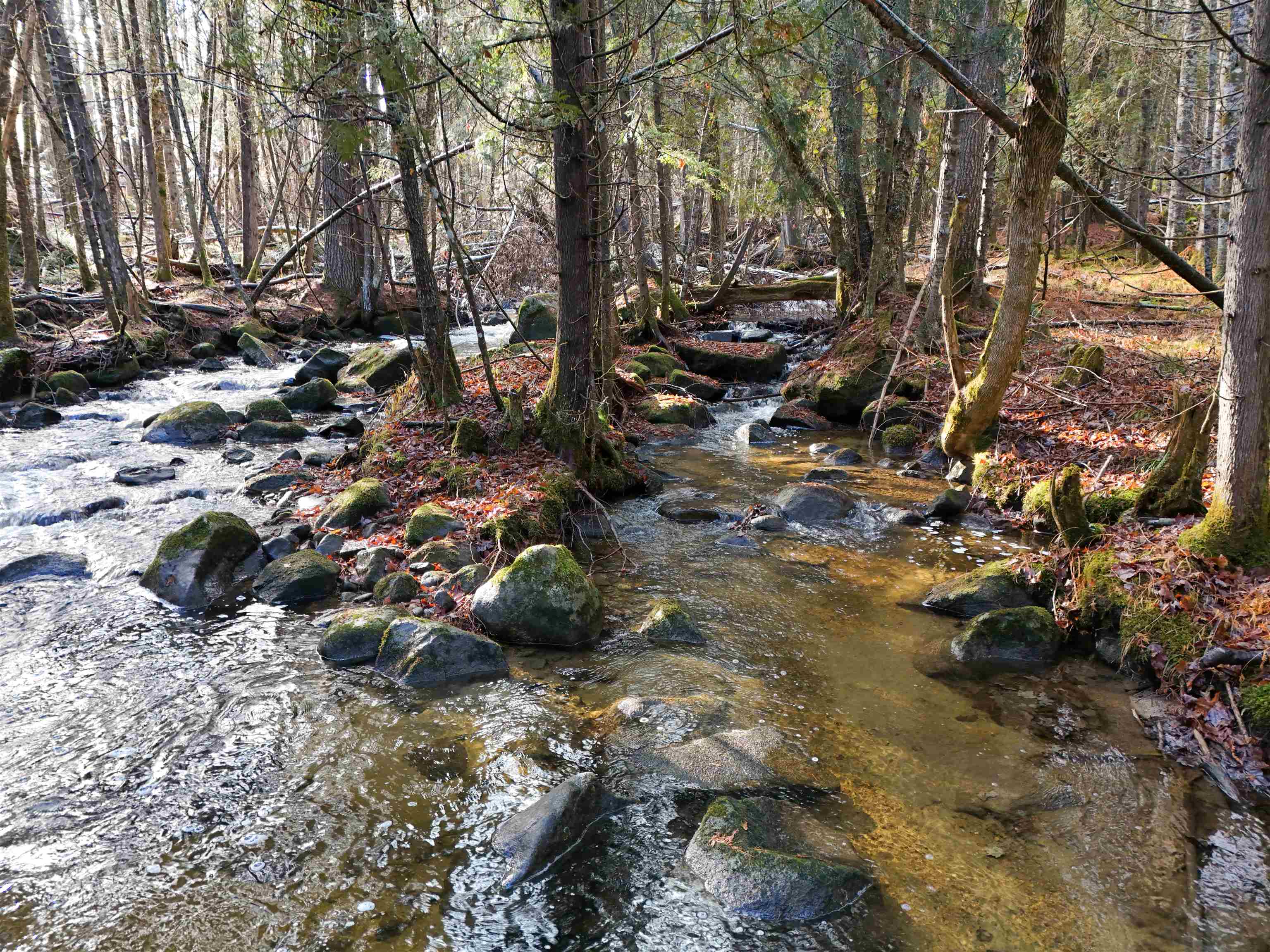 0 Powder Spring Road Groton, VT 05046 - Photo 6 of 15