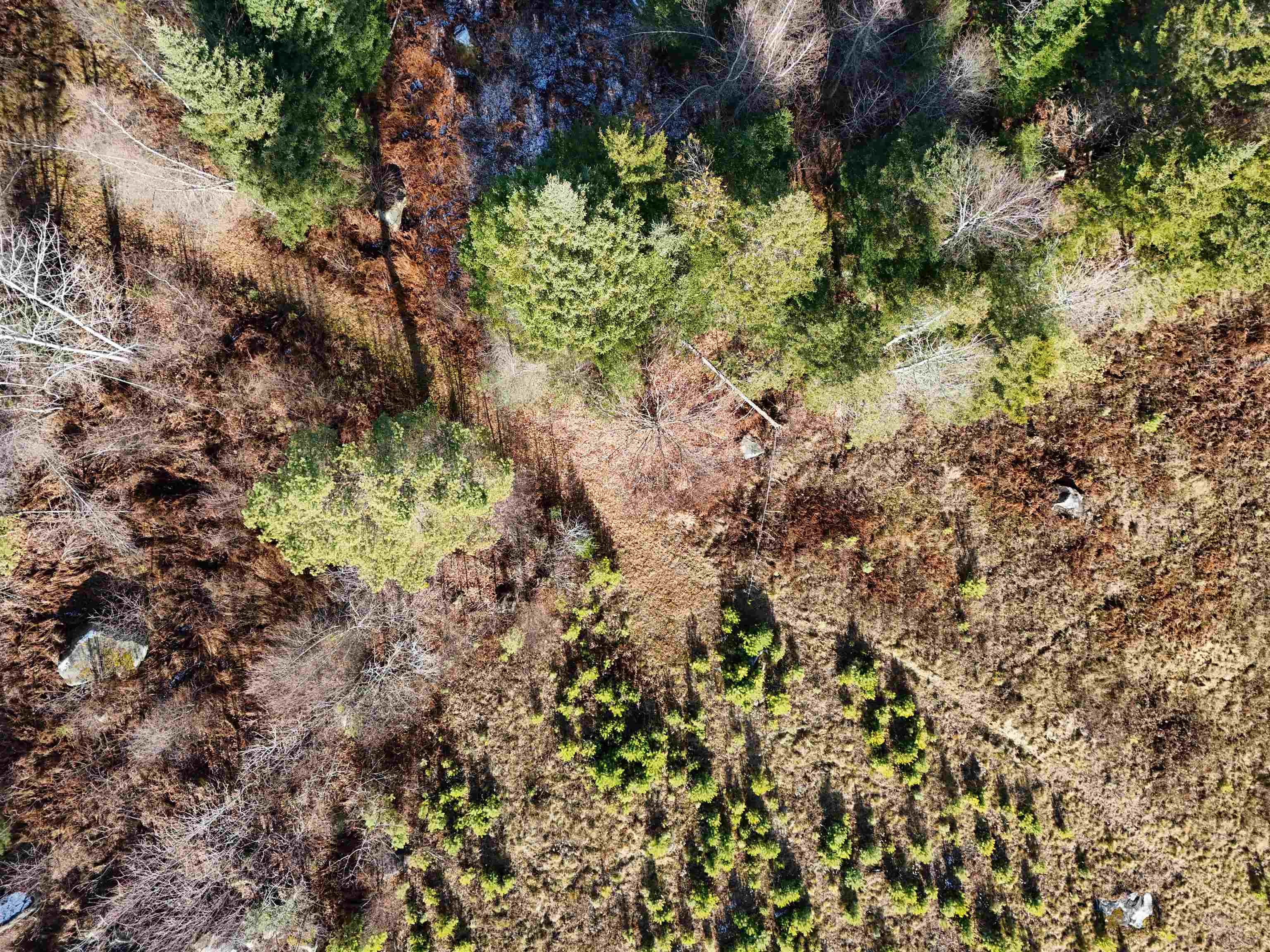 0 Powder Spring Road Groton, VT 05046 - Photo 9 of 15