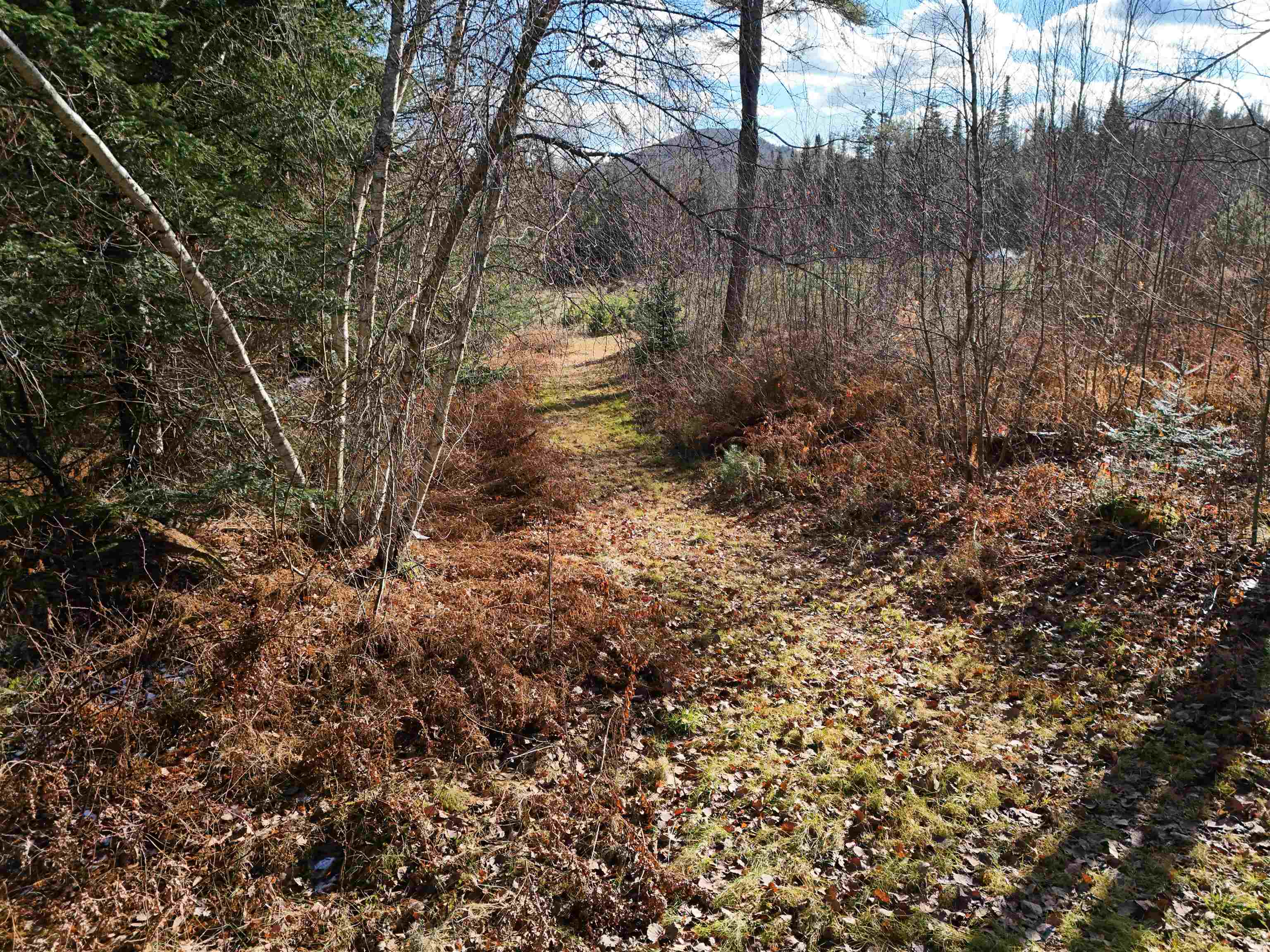 0 Powder Spring Road Groton, VT 05046 - Photo 10 of 15
