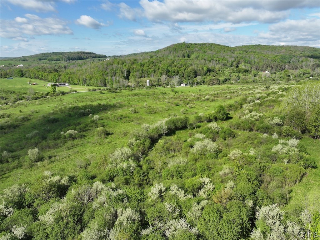 Shaffer Road Cuba, NY 14727 - Photo 10 of 11