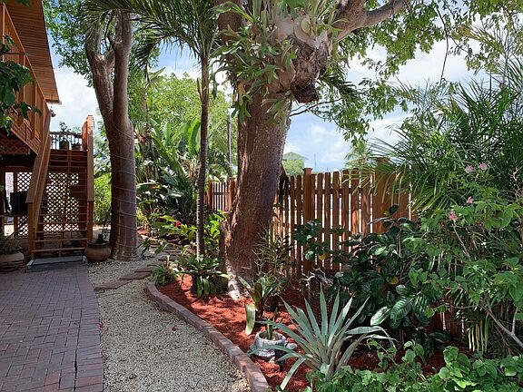 136 Palermo Drive Islamorada, FL 33036 - Photo 16 of 38 a view of a garden with plants