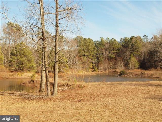 9133 Guy Ward Road Parsonsburg, MD 21849 - Photo 26 of 49 Gallery Image 26