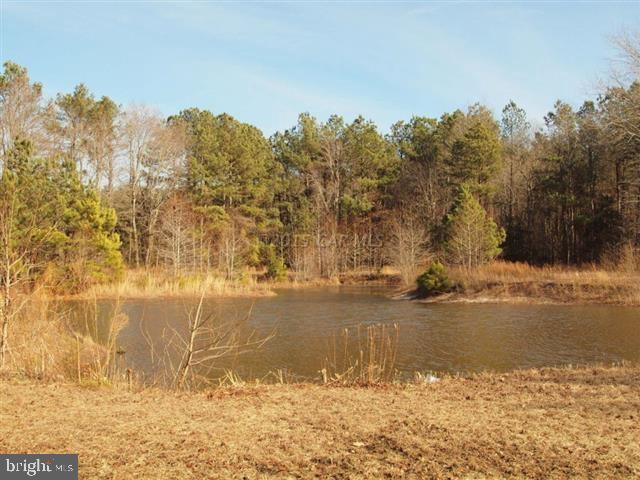 9133 Guy Ward Road Parsonsburg, MD 21849 - Photo 28 of 49 Gallery Image 28