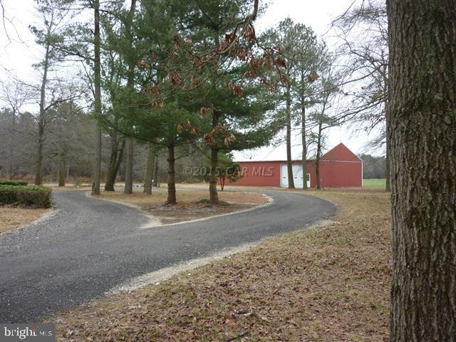 9133 Guy Ward Road Parsonsburg, MD 21849 - Photo 33 of 49 Gallery Image 33