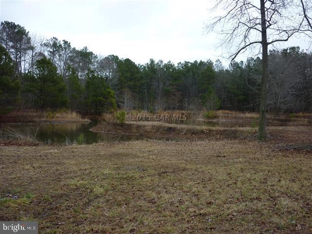 9133 Guy Ward Road Parsonsburg, MD 21849 - Photo 38 of 49 Gallery Image 38