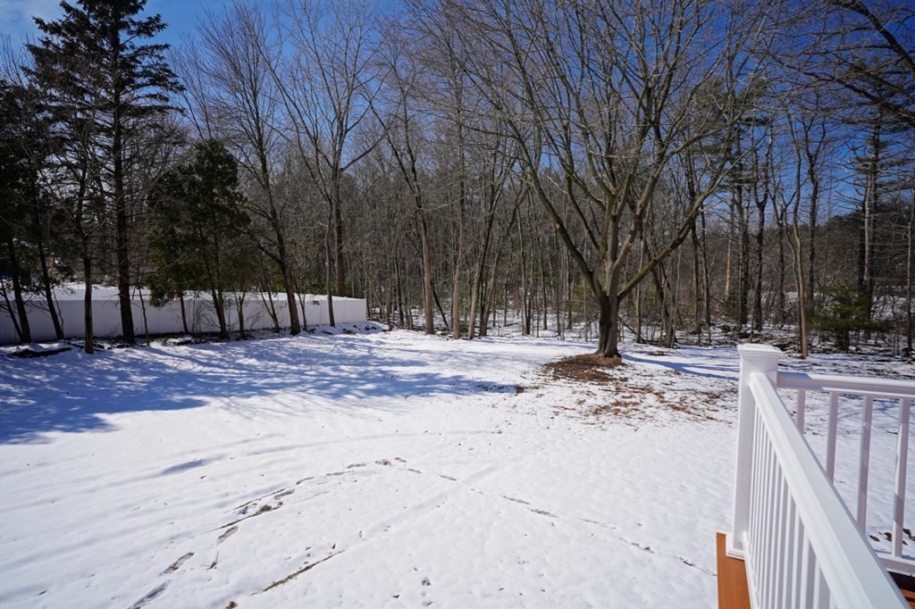 28 Chamberlain Road Chelmsford, MA 01824 - Photo 6 of 38 a view of a yard with a tree