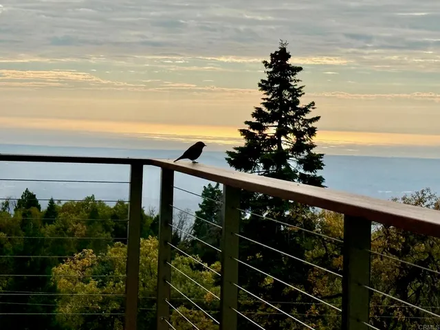 $2,250,000 | 3413 Fern Meadow Road, Palomar Mountain, CA 92060