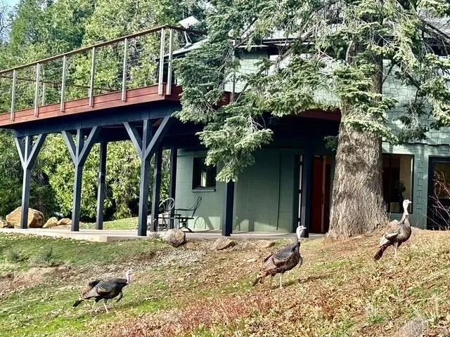 $2,250,000 | 3413 Fern Meadow Road, Palomar Mountain, CA 92060