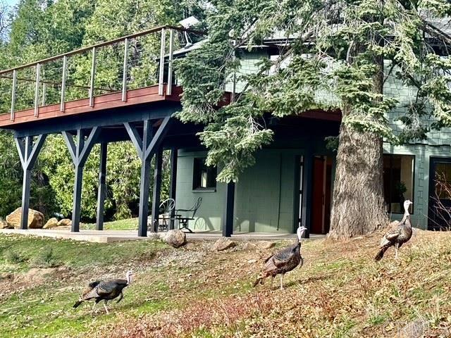 3413 Fern Meadow Road Palomar Mountain, CA 92060 - Photo 31 of 75