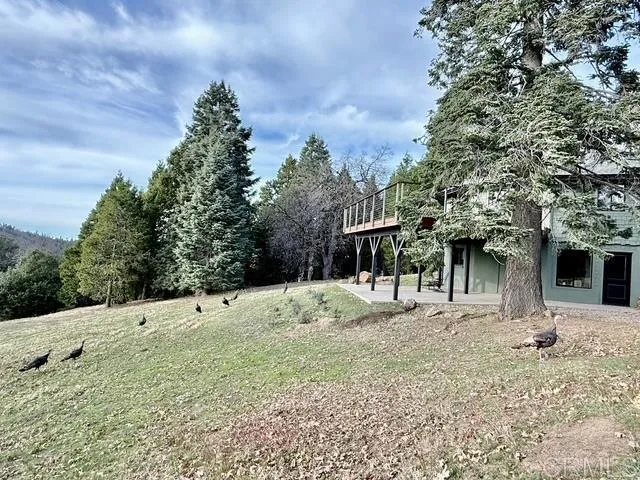 $2,250,000 | 3413 Fern Meadow Road, Palomar Mountain, CA 92060