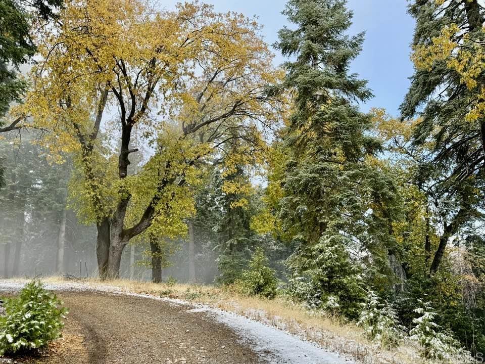 3413 Fern Meadow Road Palomar Mountain, CA 92060 - Photo 37 of 75