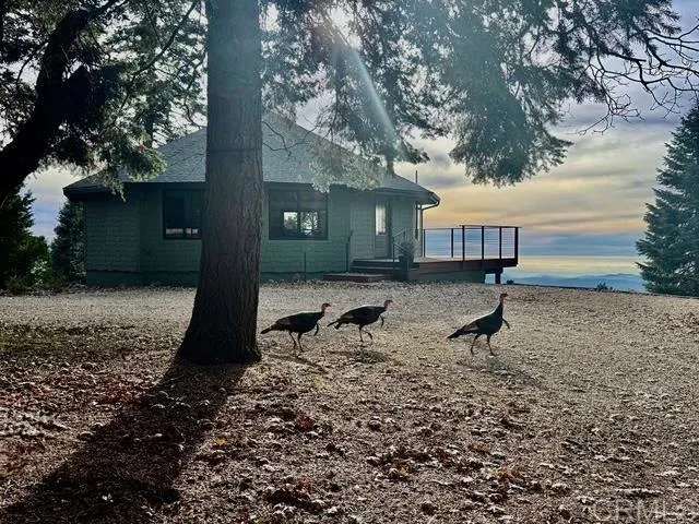 $2,250,000 | 3413 Fern Meadow Road, Palomar Mountain, CA 92060