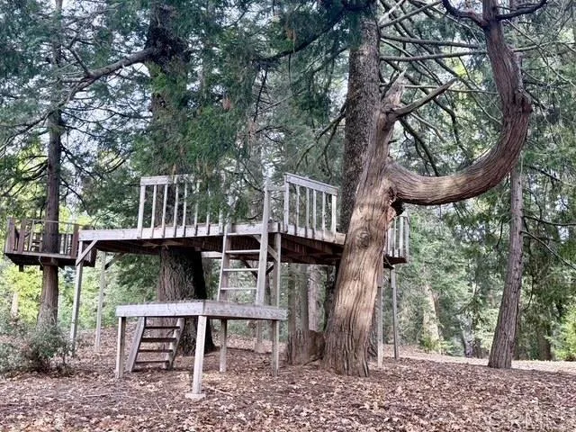 $2,250,000 | 3413 Fern Meadow Road, Palomar Mountain, CA 92060