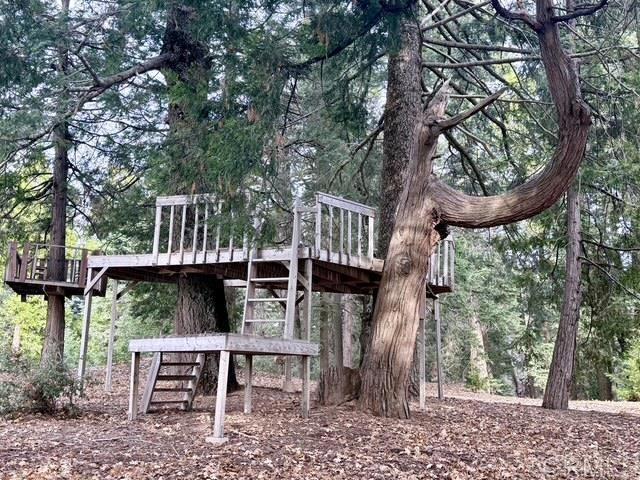 3413 Fern Meadow Road Palomar Mountain, CA 92060 - Photo 40 of 75