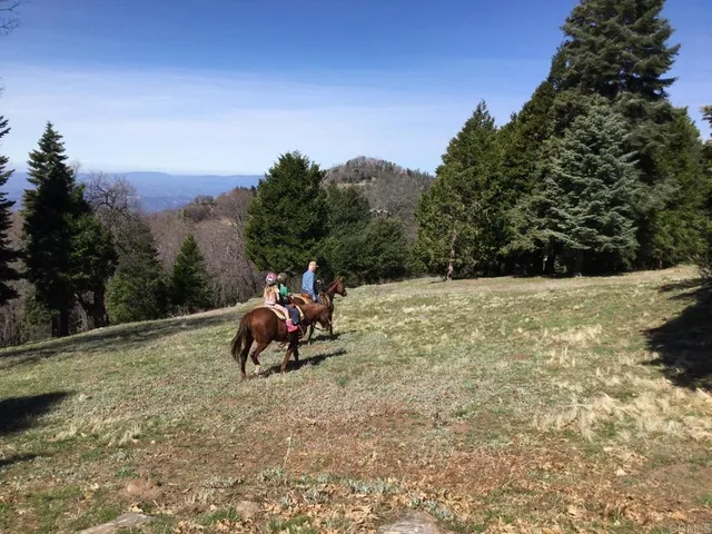 $2,250,000 | 3413 Fern Meadow Road, Palomar Mountain, CA 92060