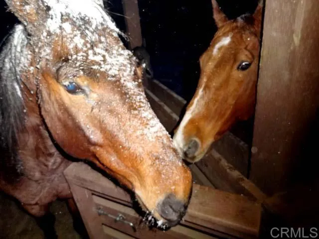 $2,250,000 | 3413 Fern Meadow Road, Palomar Mountain, CA 92060