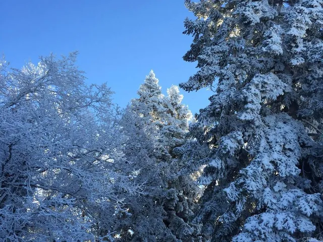 $2,250,000 | 3413 Fern Meadow Road, Palomar Mountain, CA 92060