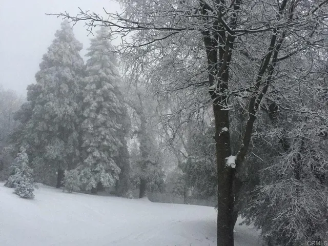 $2,250,000 | 3413 Fern Meadow Road, Palomar Mountain, CA 92060