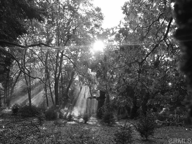 $2,250,000 | 3413 Fern Meadow Road, Palomar Mountain, CA 92060