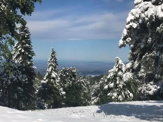 $2,250,000 | 3413 Fern Meadow Road, Palomar Mountain, CA 92060