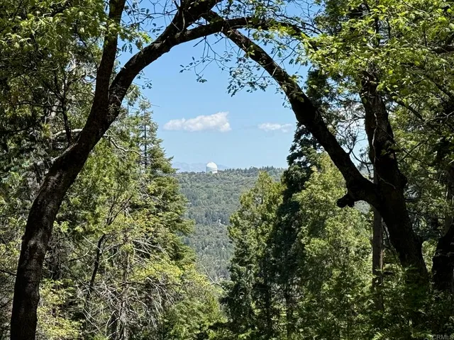 $2,250,000 | 3413 Fern Meadow Road, Palomar Mountain, CA 92060