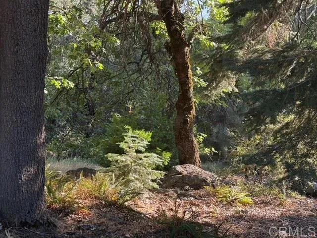 $2,250,000 | 3413 Fern Meadow Road, Palomar Mountain, CA 92060