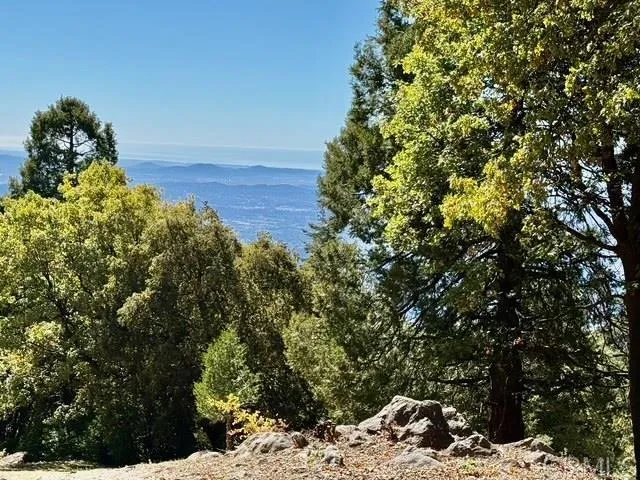 $2,250,000 | 3413 Fern Meadow Road, Palomar Mountain, CA 92060