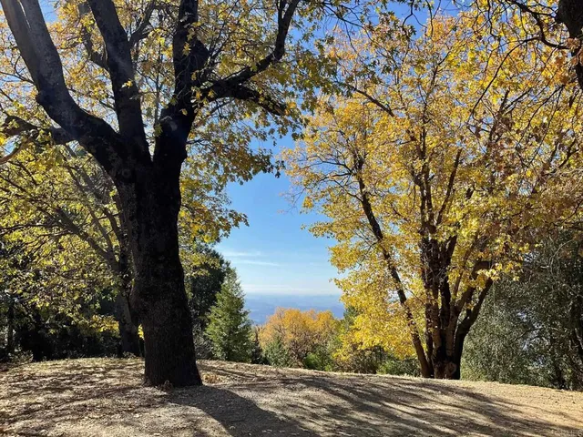 $2,250,000 | 3413 Fern Meadow Road, Palomar Mountain, CA 92060