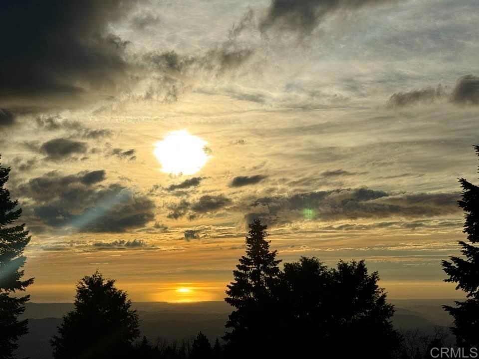 3413 Fern Meadow Road Palomar Mountain, CA 92060 - Photo 70 of 75