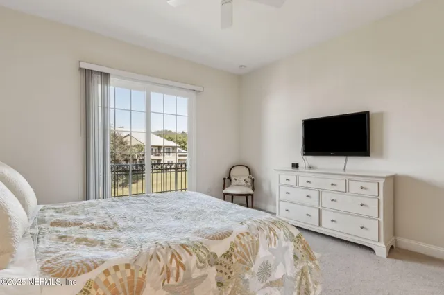 a view of a forest with trees