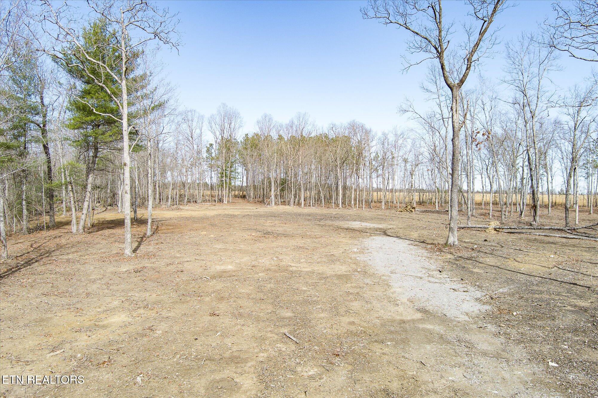 372 Perkins Trail Deer Lodge, TN 37726 - Photo 13 of 27 13-372 Perkins Trail_TNPC_079