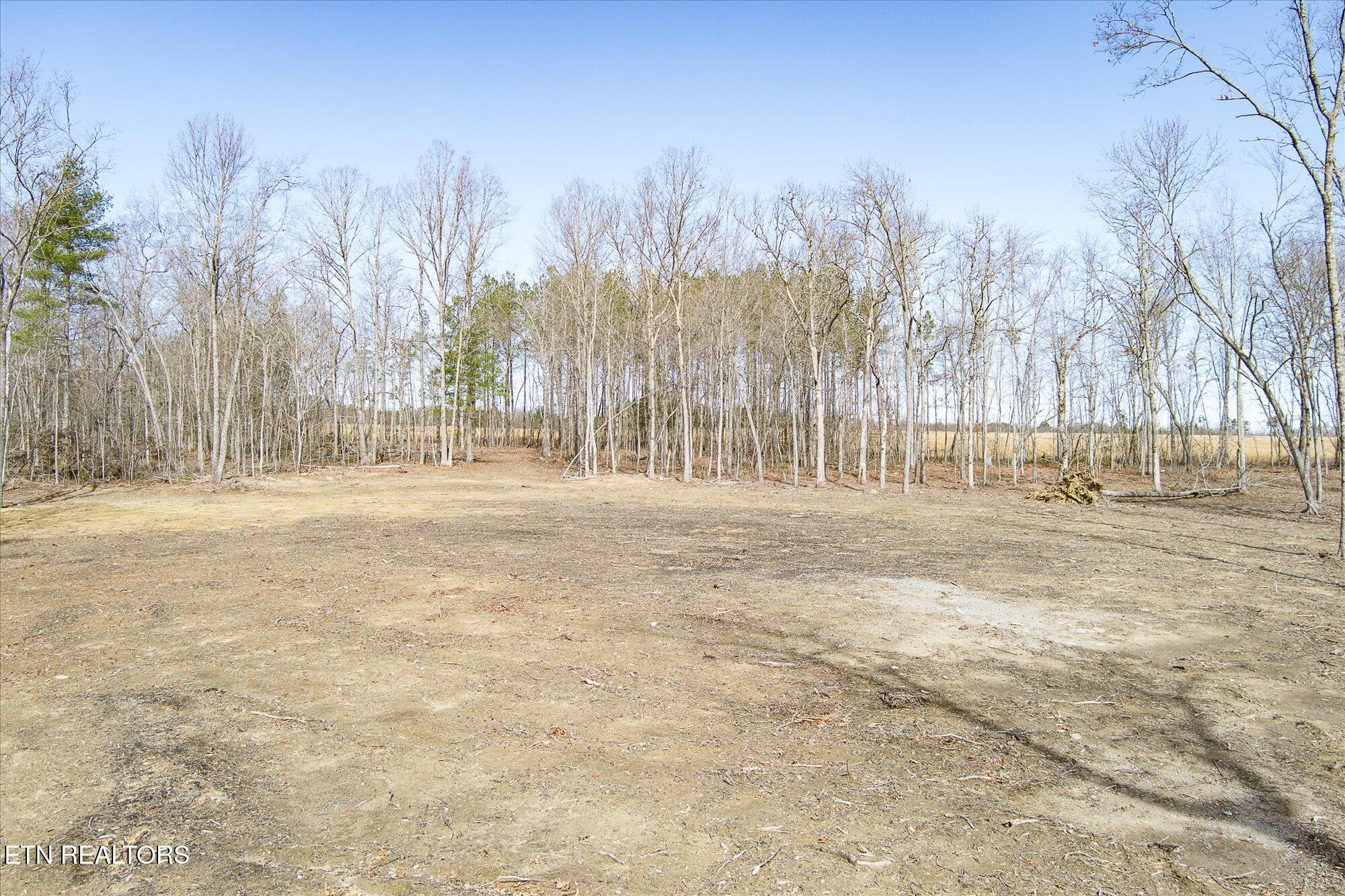 372 Perkins Trail Deer Lodge, TN 37726 - Photo 14 of 27 14-372 Perkins Trail_TNPC_084