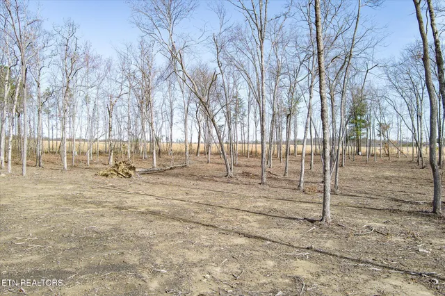 $129,900 | 372 Perkins Trail, Deer Lodge, TN 37726