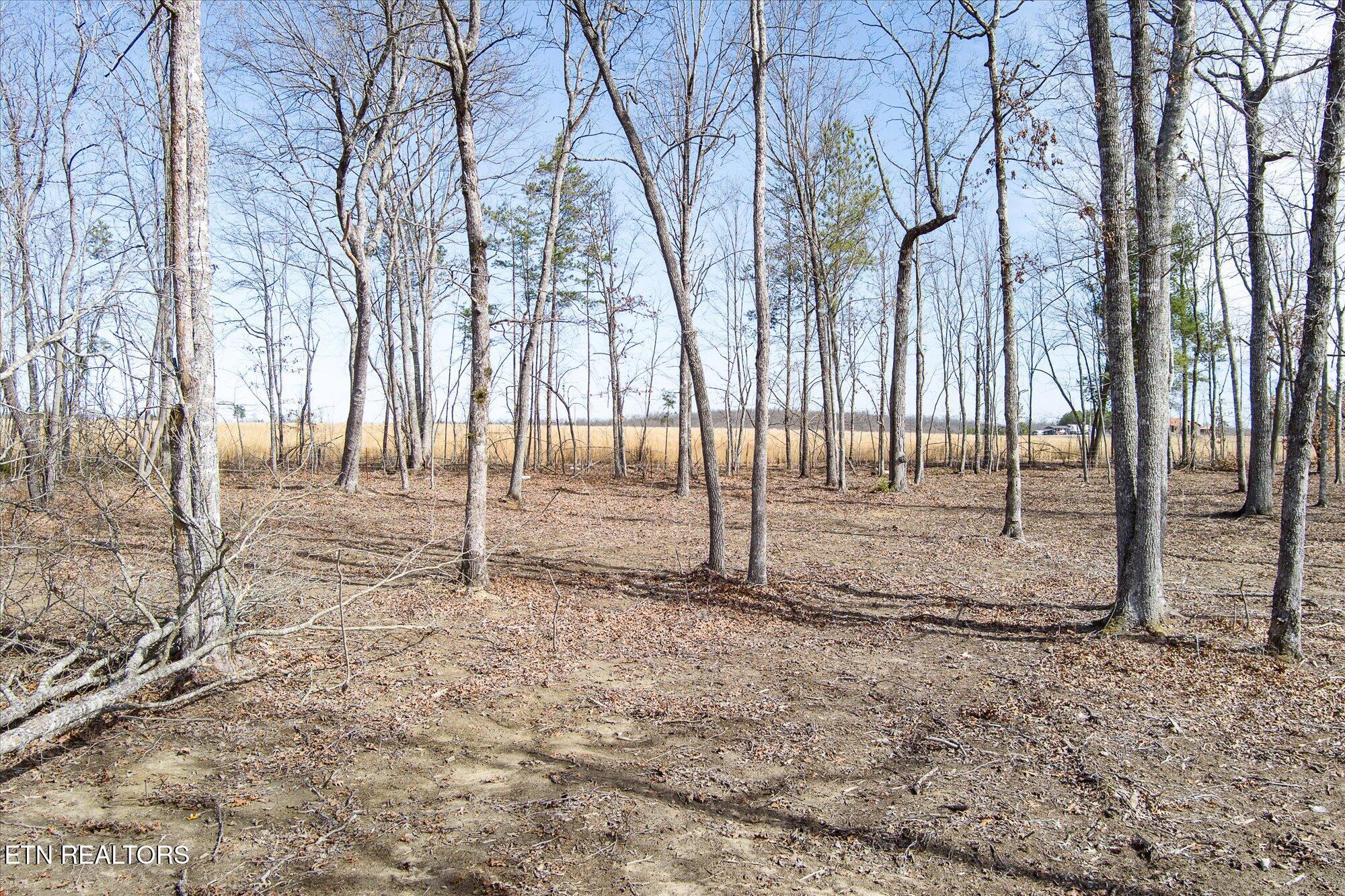 372 Perkins Trail Deer Lodge, TN 37726 - Photo 17 of 27 17-372 Perkins Trail_TNPC_099