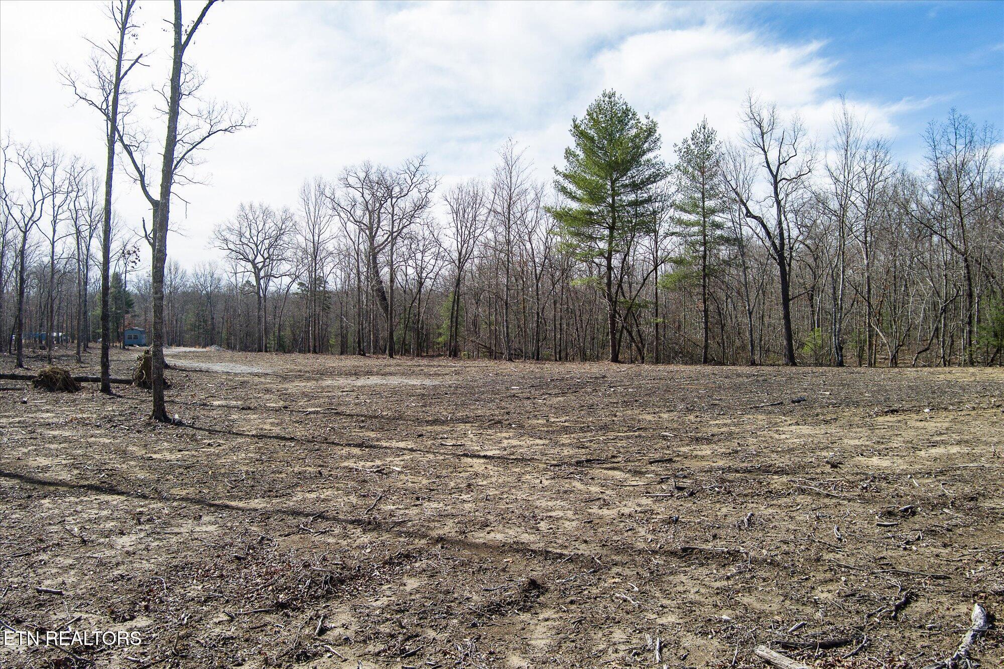 372 Perkins Trail Deer Lodge, TN 37726 - Photo 18 of 27 18-372 Perkins Trail_TNPC_103