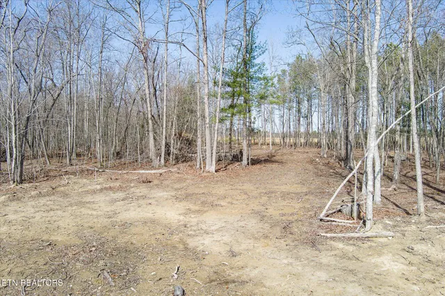 $129,900 | 372 Perkins Trail, Deer Lodge, TN 37726