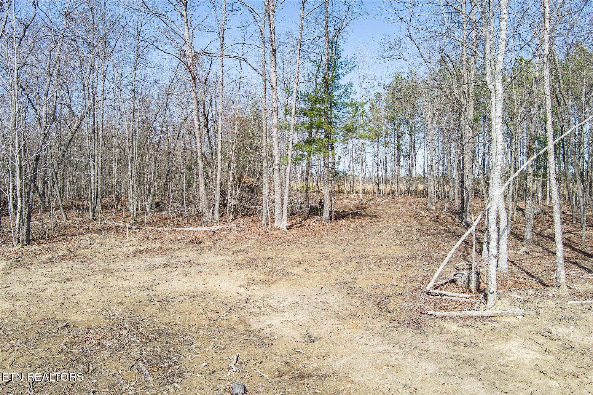 372 Perkins Trail Deer Lodge, TN 37726 - Photo 19 of 27 19-372 Perkins Trail_TNPC_108