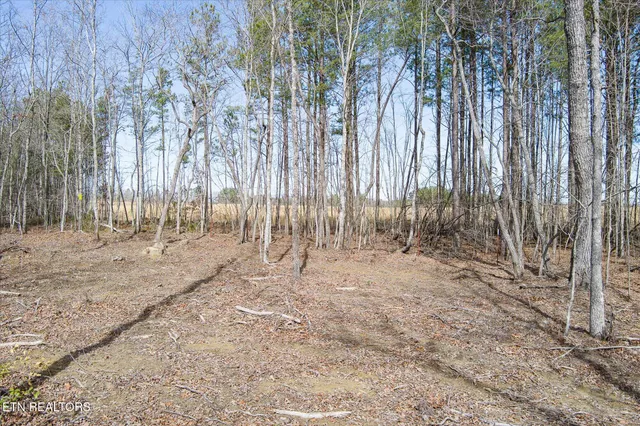 $129,900 | 372 Perkins Trail, Deer Lodge, TN 37726