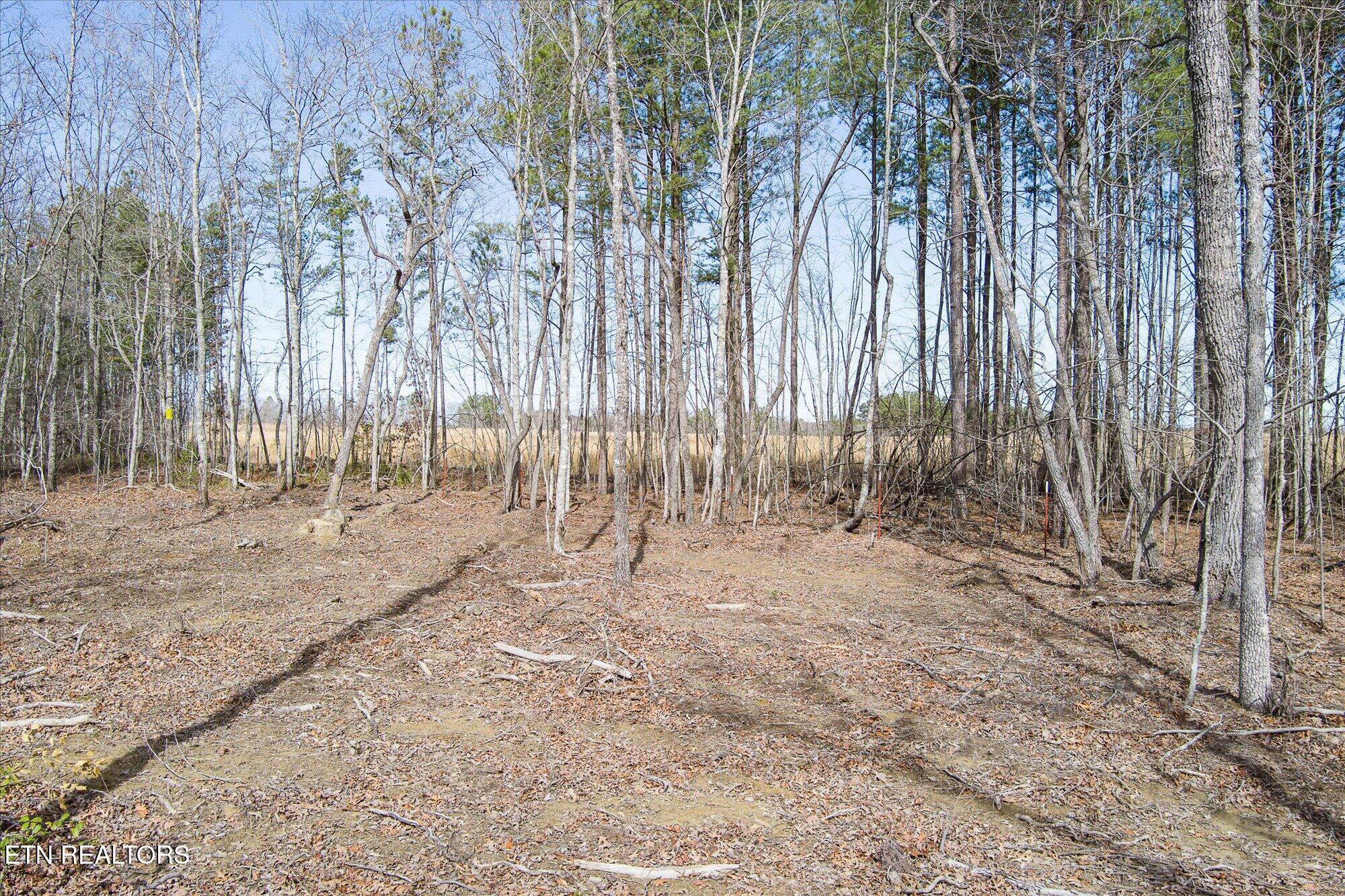 372 Perkins Trail Deer Lodge, TN 37726 - Photo 20 of 27 20-372 Perkins Trail_TNPC_113