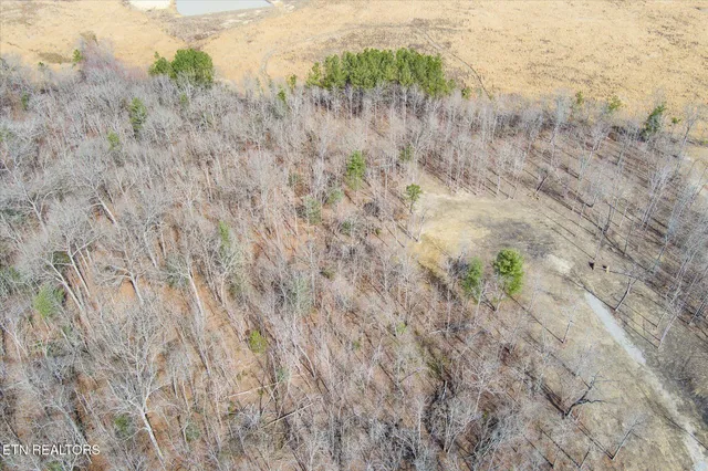 $129,900 | 372 Perkins Trail, Deer Lodge, TN 37726