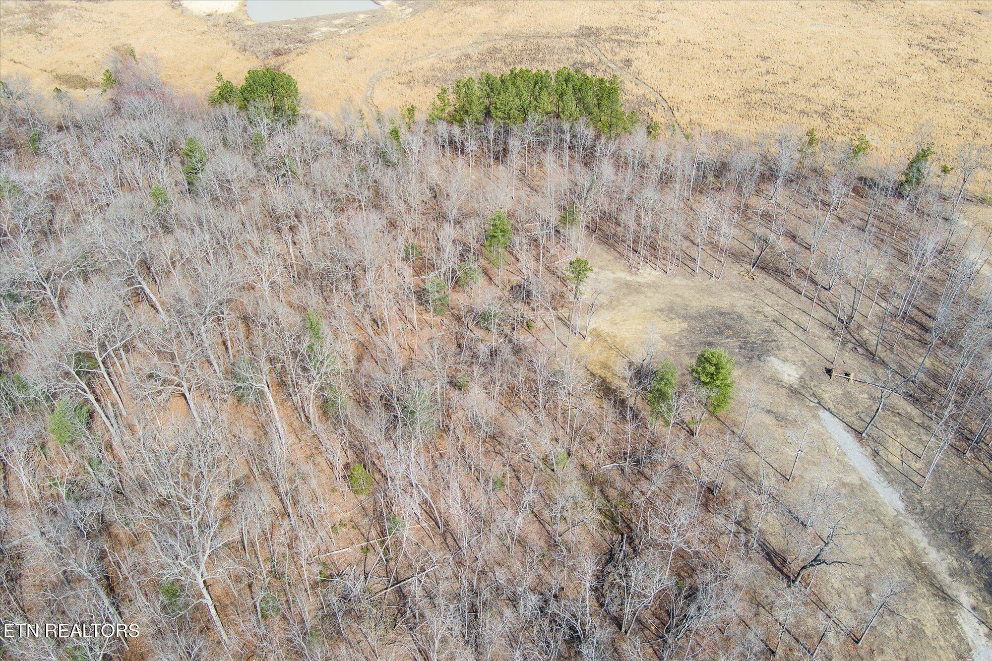 372 Perkins Trail Deer Lodge, TN 37726 - Photo 22 of 27 27-372 Perkins Trail_TNPC_149