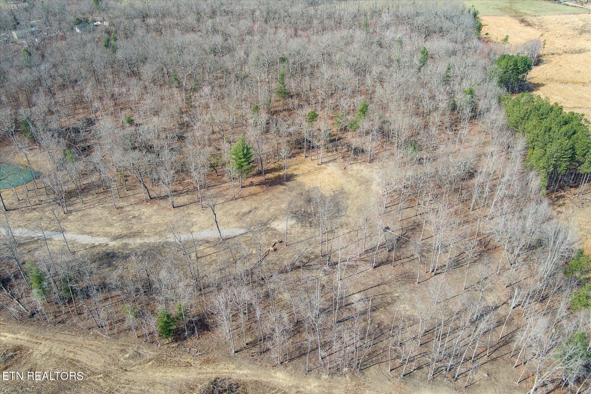 372 Perkins Trail Deer Lodge, TN 37726 - Photo 23 of 27 28-372 Perkins Trail_TNPC_154