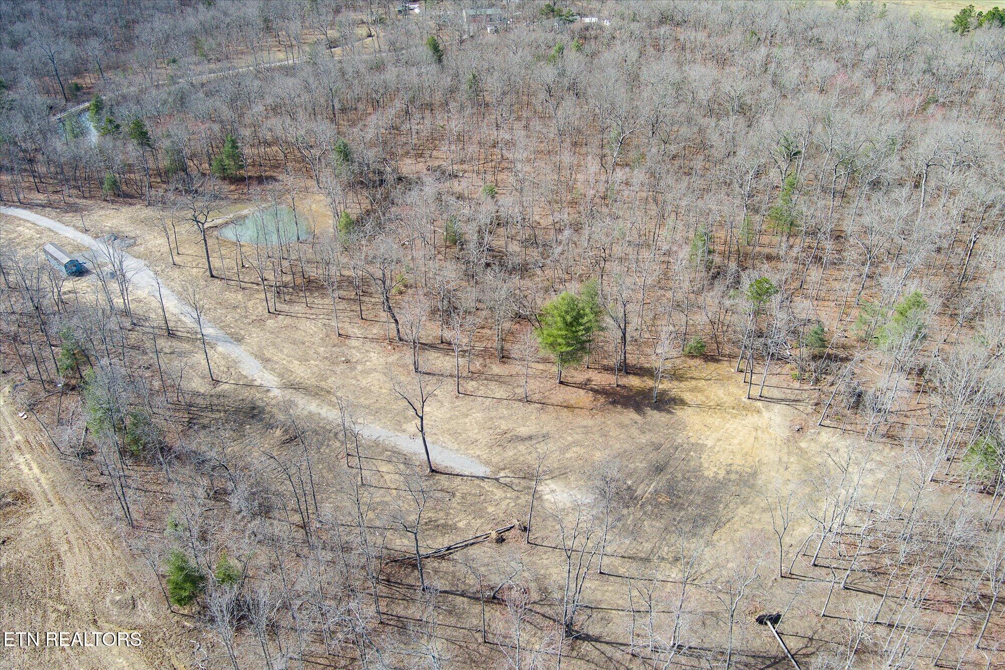 372 Perkins Trail Deer Lodge, TN 37726 - Photo 25 of 27 31-372 Perkins Trail_TNPC_169