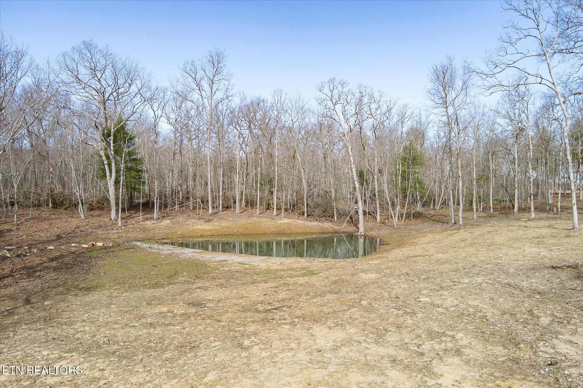 372 Perkins Trail Deer Lodge, TN 37726 - Photo 3 of 27 03-372 Perkins Trail_TNPC_029