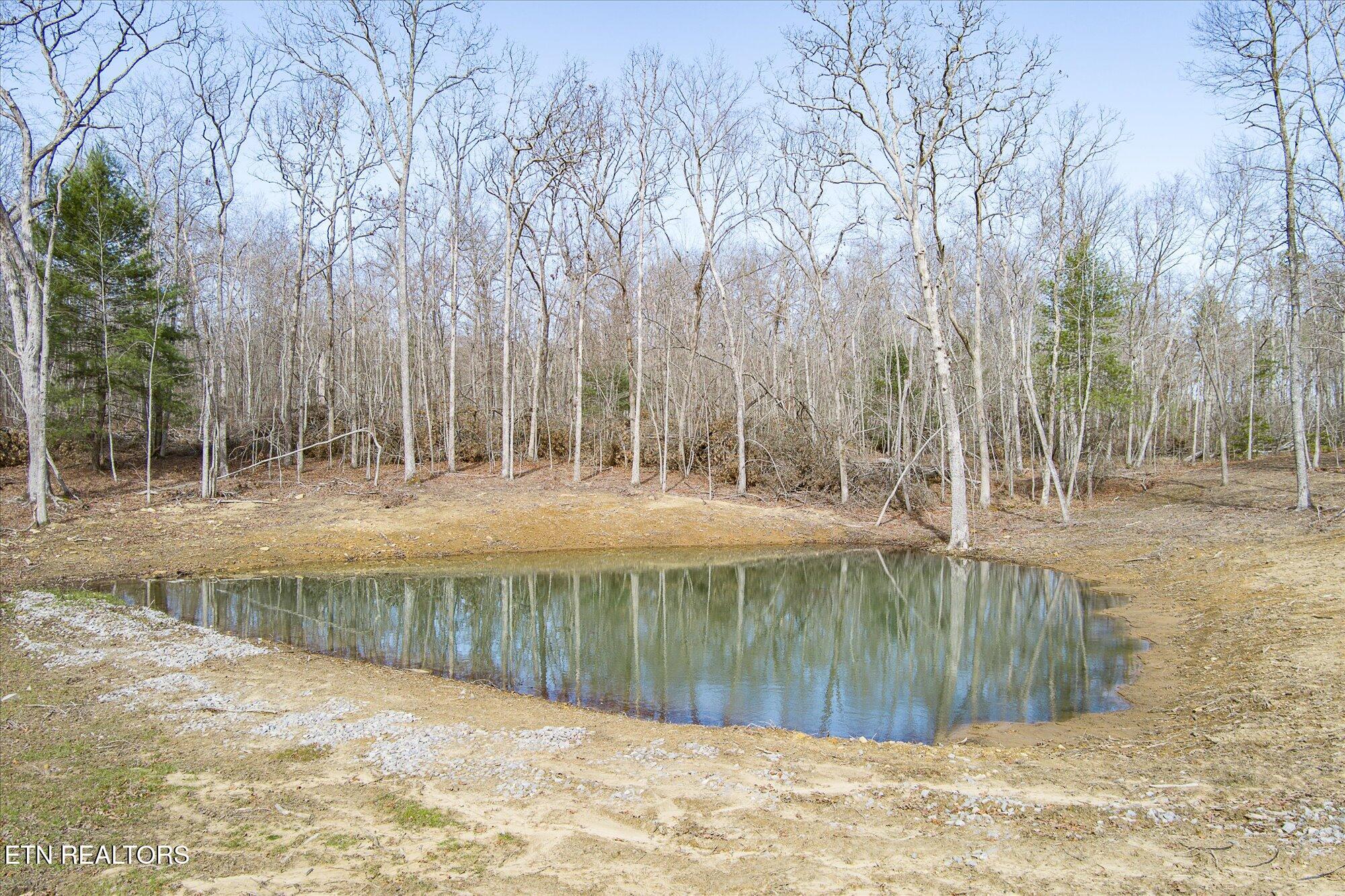 372 Perkins Trail Deer Lodge, TN 37726 - Photo 4 of 27 04-372 Perkins Trail_TNPC_034