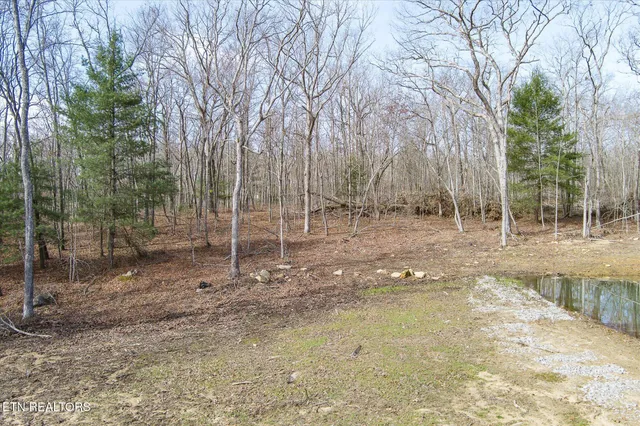 $129,900 | 372 Perkins Trail, Deer Lodge, TN 37726