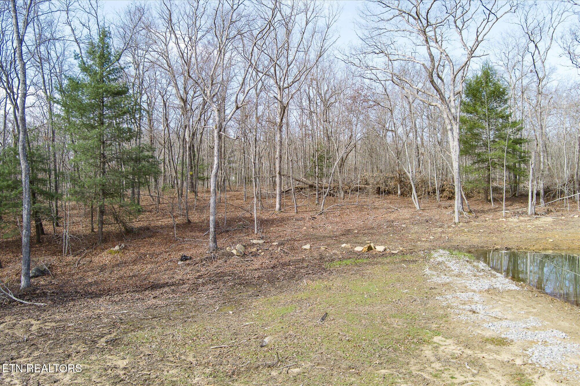 372 Perkins Trail Deer Lodge, TN 37726 - Photo 5 of 27 05-372 Perkins Trail_TNPC_040