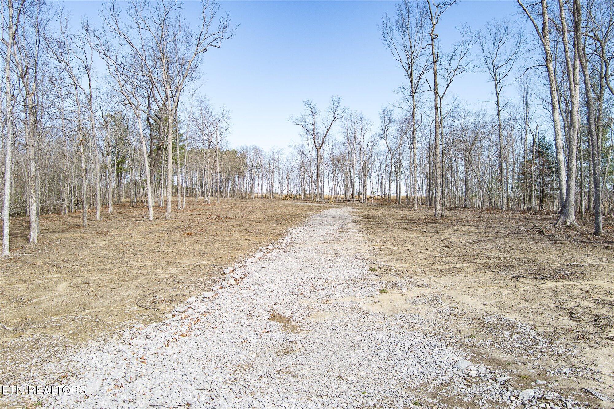 372 Perkins Trail Deer Lodge, TN 37726 - Photo 9 of 27 09-372 Perkins Trail_TNPC_059