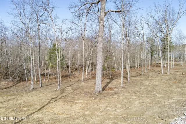 $129,900 | 372 Perkins Trail, Deer Lodge, TN 37726