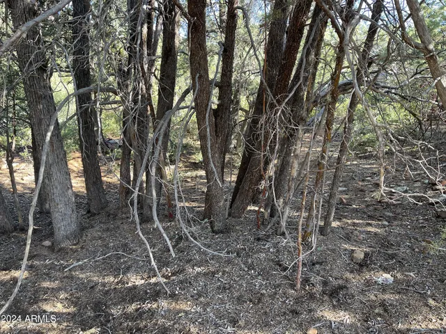 $90,000 | 9 Lodgepole Circle, Unit 9, Pine, AZ 85544